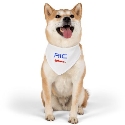 Daniel Ricciardo Dog Bandana Collar F1 VCARB RB Team Pet Gift PBN1025