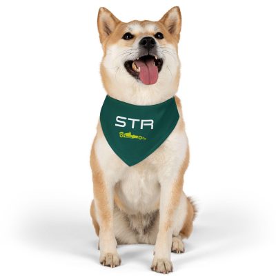 Lance Stroll Dog Bandana Collar F1 Aston Martin Racing Pet Gift PBN1012