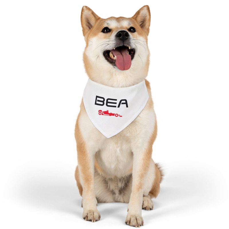 Ollie Bearman Dog Bandana Collar F1 Haas Team Pet Neckwear Race Fan PBN1001